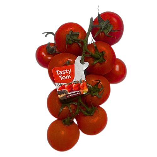 TastyTom tomaten