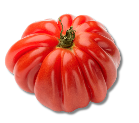 Vlees tomaat