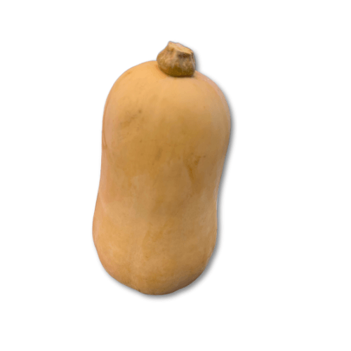 Fles pompoen