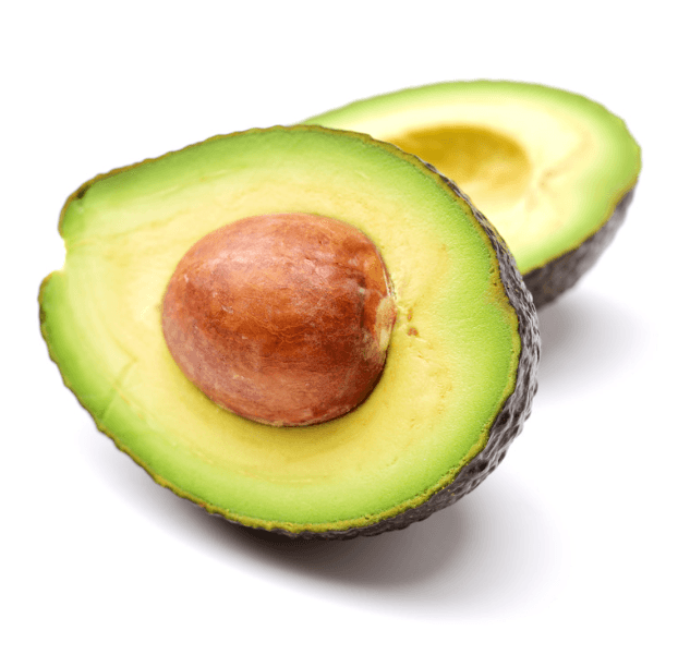 Avocado - Van den Bos 