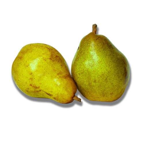 Doyene du comice peren