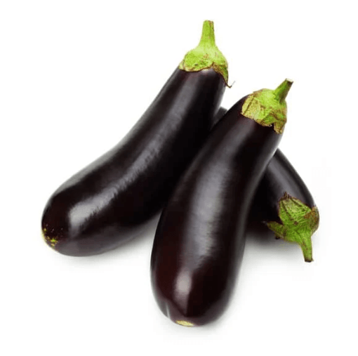 Aubergine - Van den Bos 