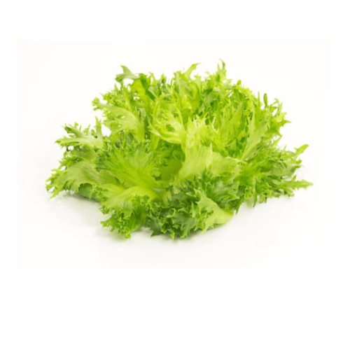 Kropsla lollo bianco