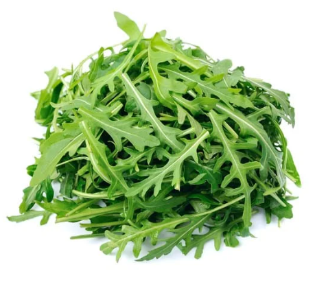 Rucola