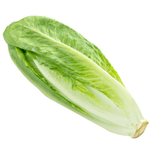 Kropsla romano